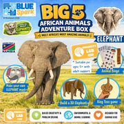 BlueSpark Animal Adventure Box – Elephant Wildlife Activity Kit