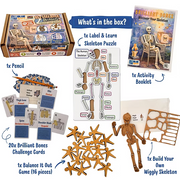 BlueSpark Brilliant Bones – Human Skeleton STEAM Activity Kit