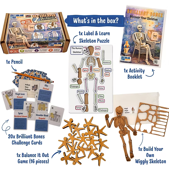 BlueSpark Brilliant Bones – Human Skeleton STEAM Activity Kit